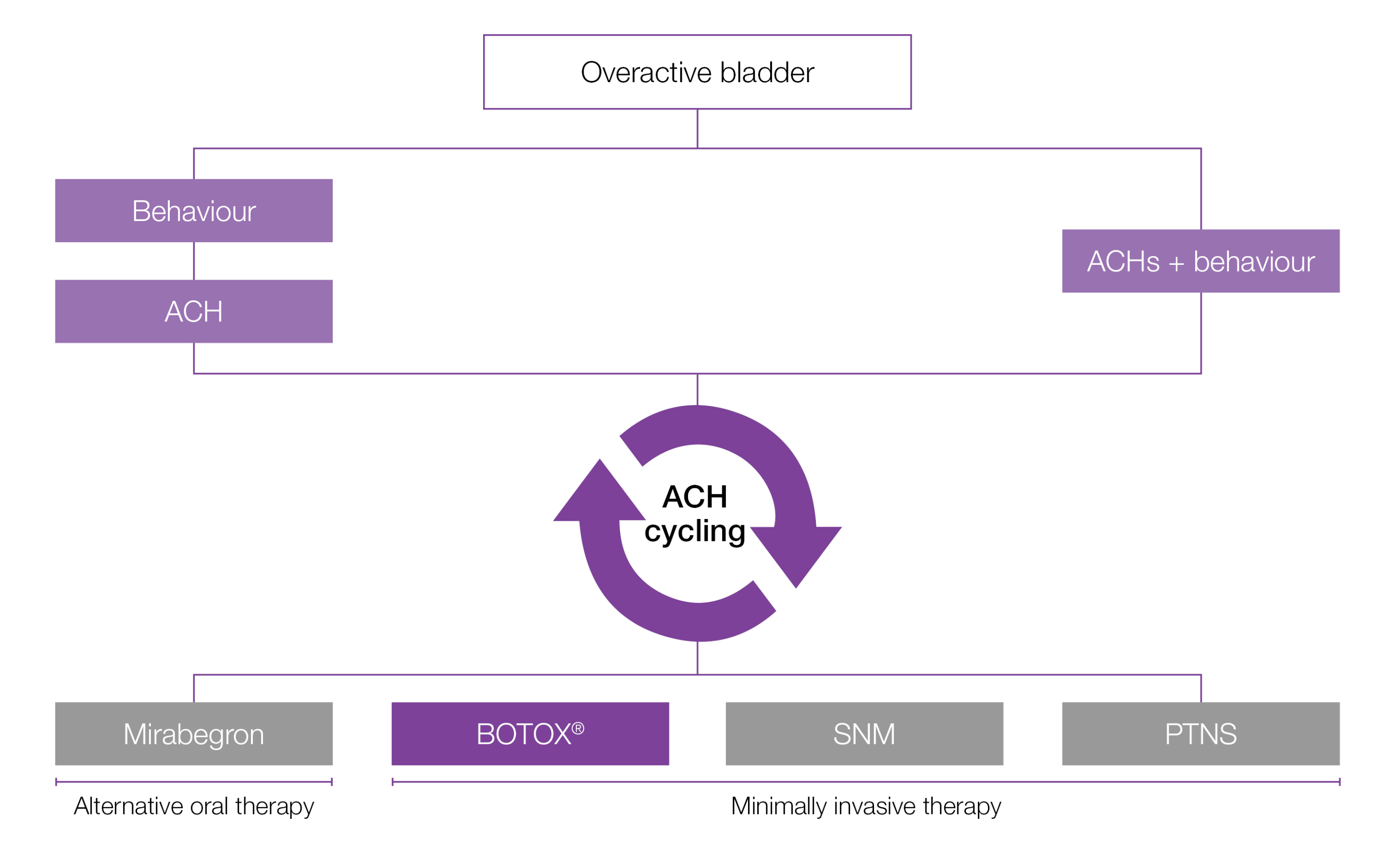 X1470 OAB UK BOTOX Sales Aid - New Branding4